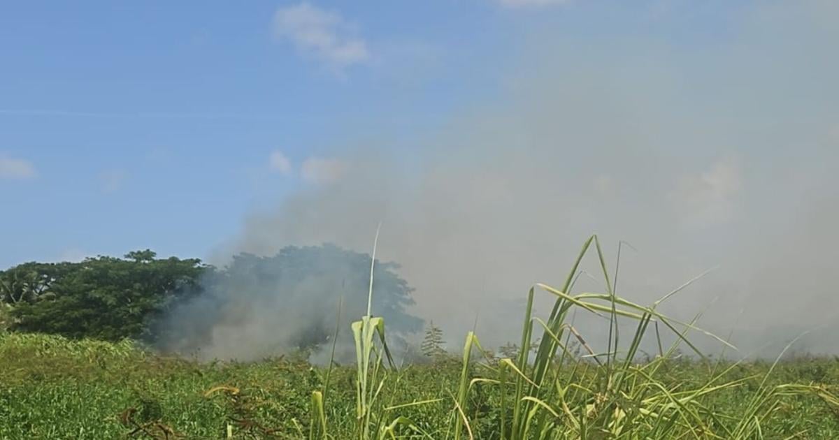 Incendio forestal afecta 57 cuerdas del Refugio de Vida Silvestre de Boquerón en Cabo Rojo