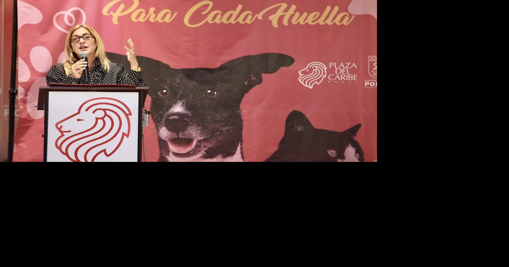 Alcaldesa de Ponce repudia robo en albergue de animales Salvando Vidas
