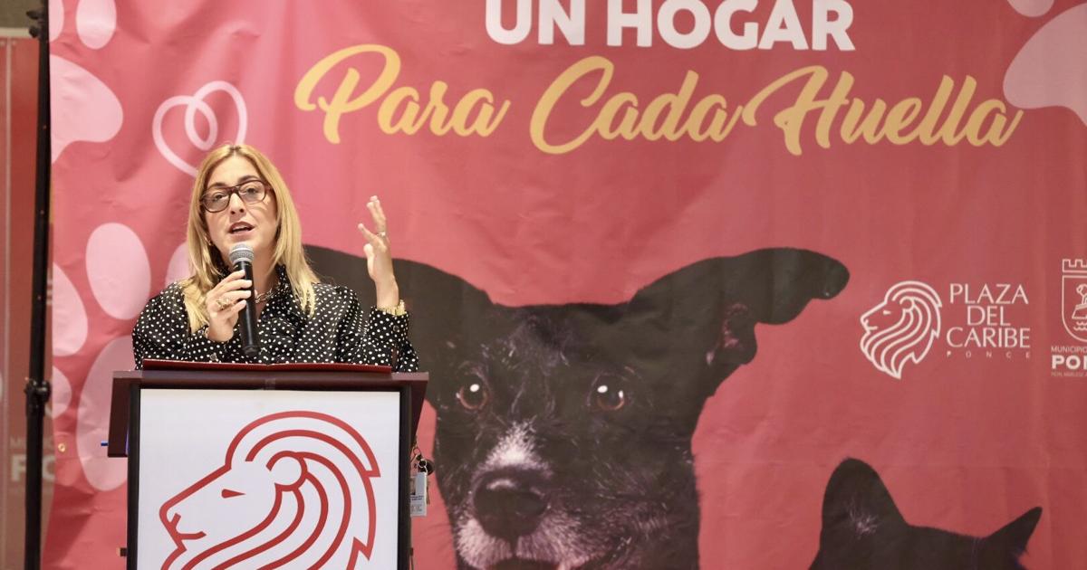 Alcaldesa de Ponce repudia robo en albergue de animales Salvando Vidas