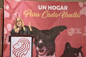 Imagen del artículo de El Vocero: “Es indignante”: Alcaldesa de Ponce repudia escalamiento en albergue de animales
