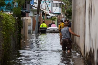 leptospirosis