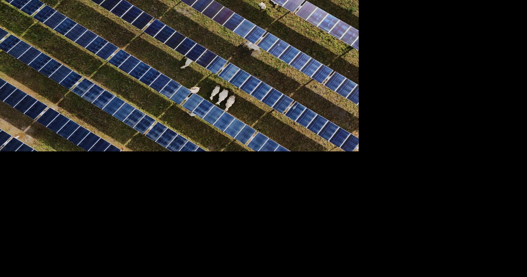Energía solar supera al carbón en EE.UU. por primera vez en mayo, pese a políticas de Trump