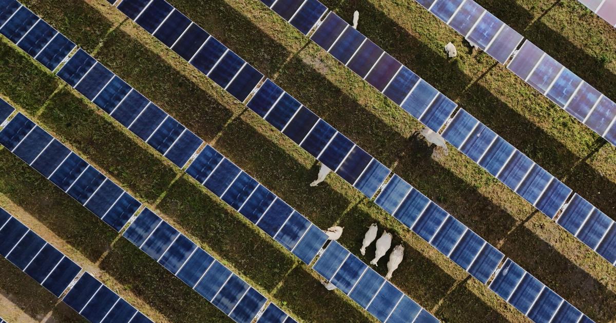 Energía solar supera al carbón en EE.UU. por primera vez en mayo, pese a políticas de Trump