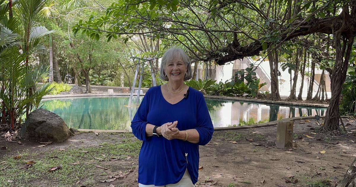 Programa de Tai Chi en Bayamón crece de 5 a 100 adultos mayores en más de una década