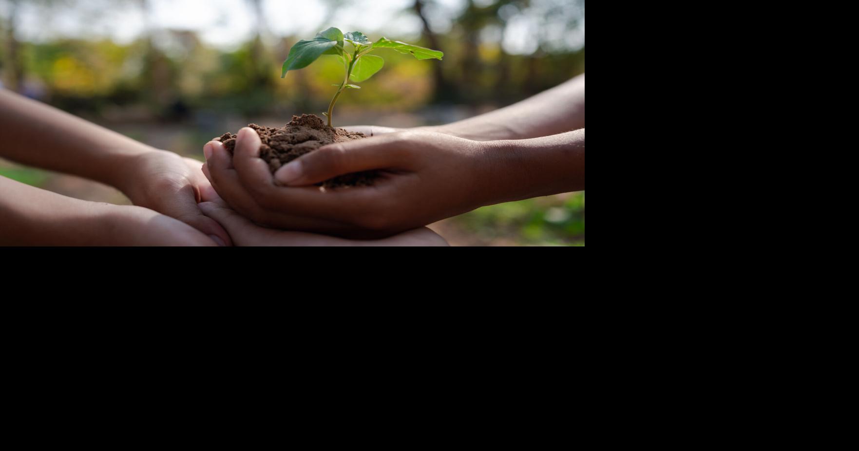 VIDEO: Del reciclaje al consumo: cómo aportar al cuidado del planeta