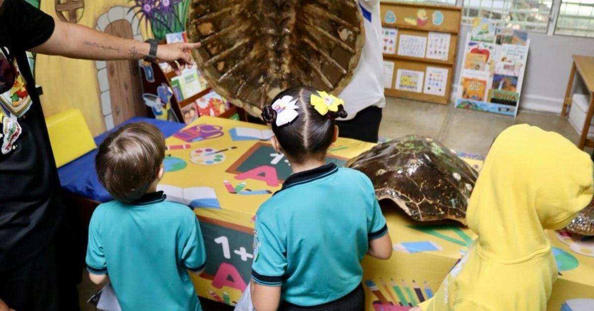 DRNA lleva charla sobre conservación de tortugas marinas a escuela de Utuado