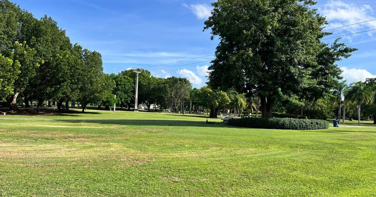 Parques Luis Muñoz Marín y Dr. José Celso Barbosa: opciones recreativas en San Juan