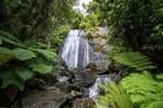 Río Grande: Naturaleza, aventura y sabor en un solo destino