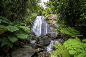 Imagen del artículo de El Vocero: Buscan a cuatro personas atrapadas por corriente de agua en El Yunque