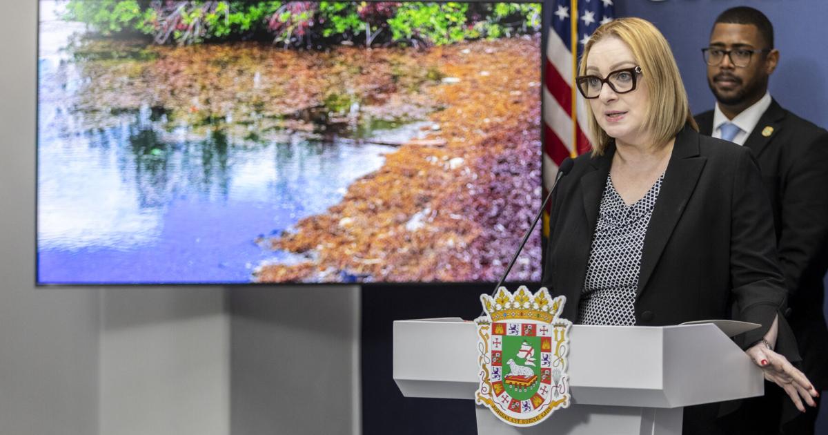 DRNA defiende dragado en Río Grande de Loíza para proteger manatíes en peligro