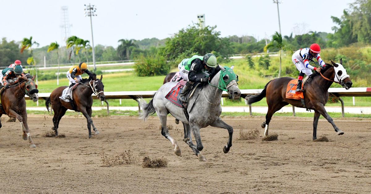Bateador sorprende y gana la edición 99 de la Copa Gobernador en el hipódromo Camarero
