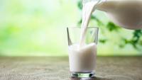 Promueven el consumo de leche fresca