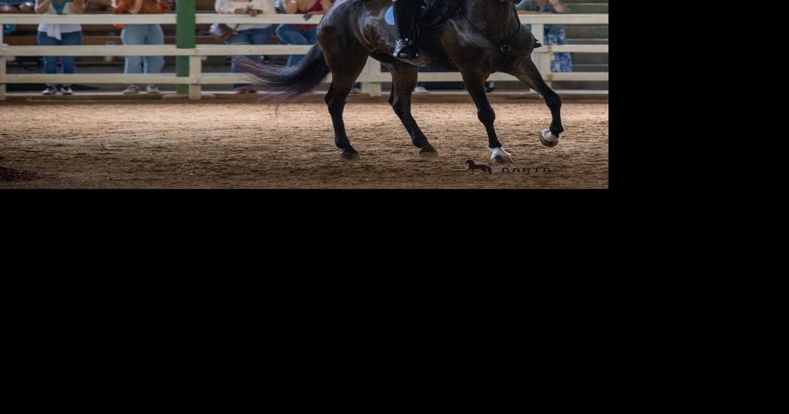 | El evento reunirá a jóvenes jinetes y amazonas con el objetivo de fortalecer el vínculo entre la tradición y la disciplina moderna del Paso Fino.