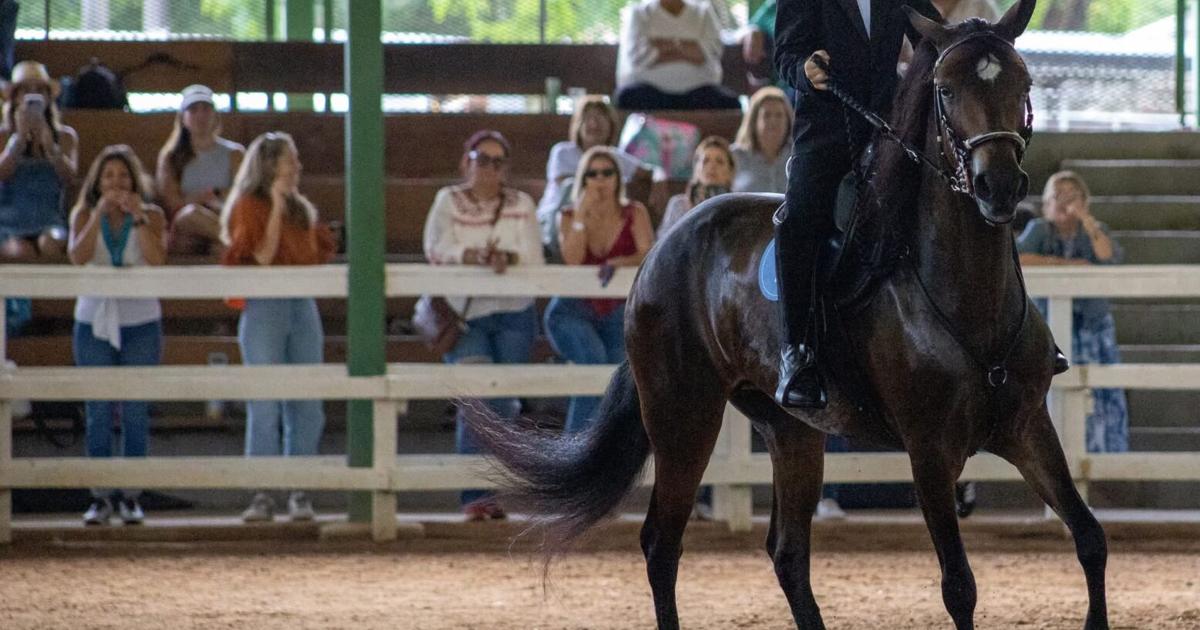 Fajardo celebrarán la duodécima edición de las Justas de Equitación