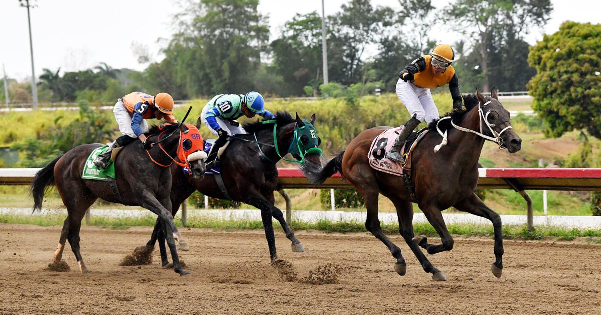 Diez tresañeros compiten en el Camarero en inicio de clasificación para el Clásico Del Caribe