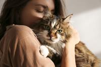 cats 2