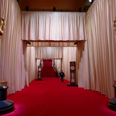 Laverne Cox brilla en la alfombra roja de los Oscars