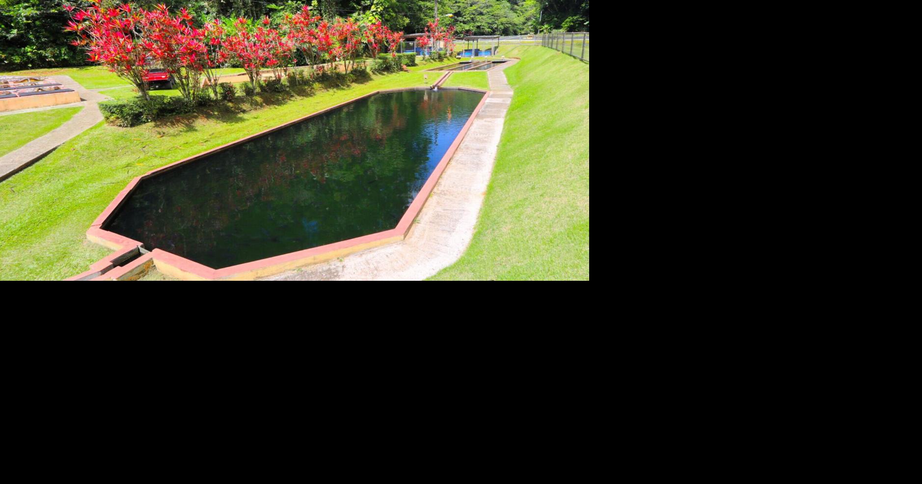Vivero de Peces de Maricao inicia rehabilitación con $13 millones tras nueve años cerrado