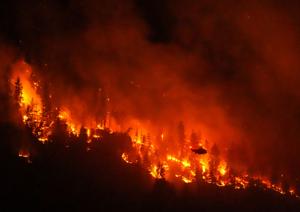 Imagen de la cobertura de: Estudio vincula el cambio climático con los incendios forestales en Canadá