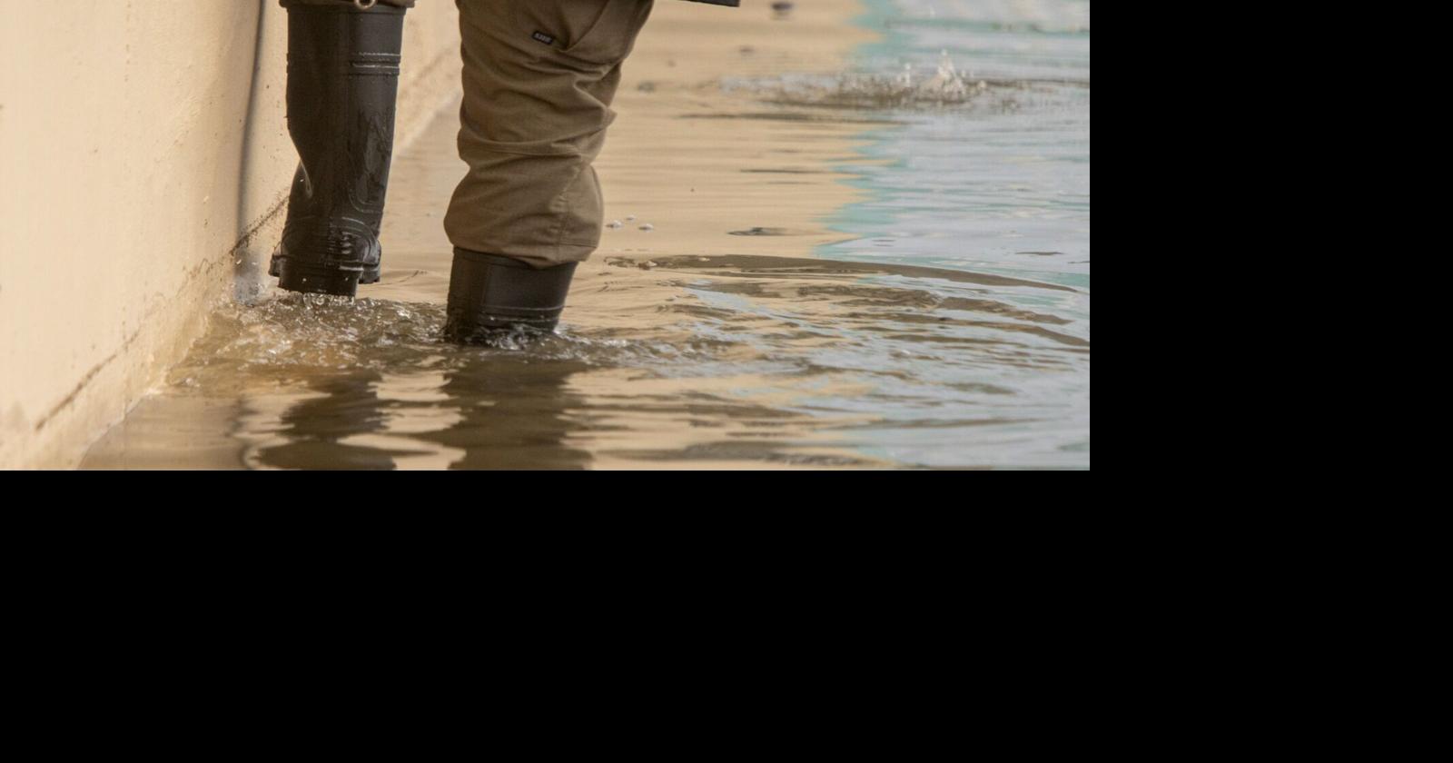 | Conoce cuáles son aquí.