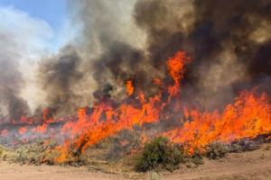 Imagen del artículo de El Vocero: Incendio forestal impide llegar al lugar donde se estrelló un helicóptero en Utah