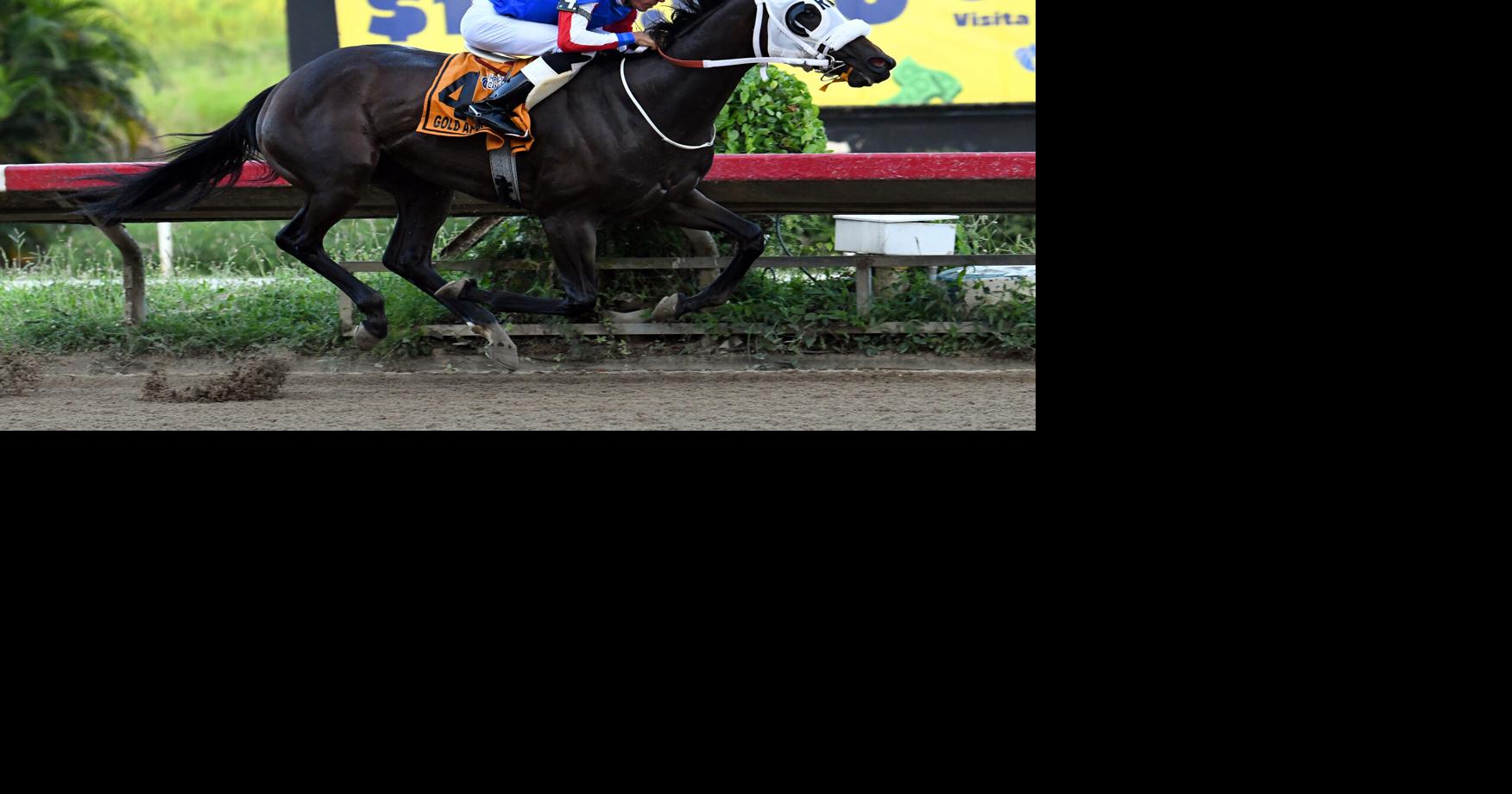 Gold Apple regresa al Hipódromo Camarero tras nueve meses de inactividad