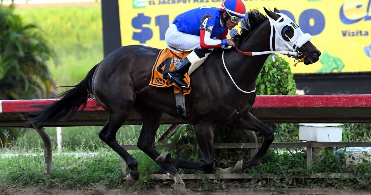 Gold Apple regresa al Hipódromo Camarero tras nueve meses de inactividad