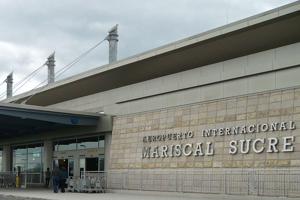 Imagen de la cobertura de: Detienen en Quito a pasajera con 32 iguanas marinas vivas en su equipaje