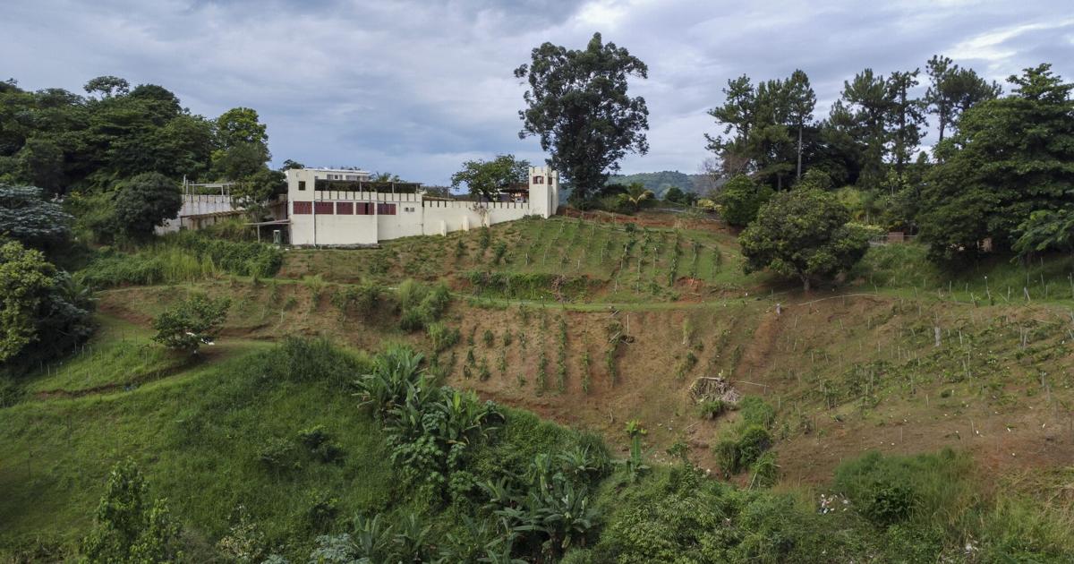 Muere hombre tras volcarse vehículo dentro de finca en Camuy