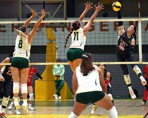 Imagen de la cobertura de: Taínas y Juanas cierran la semana en un duelo de invictas en el voleibol de la LAI