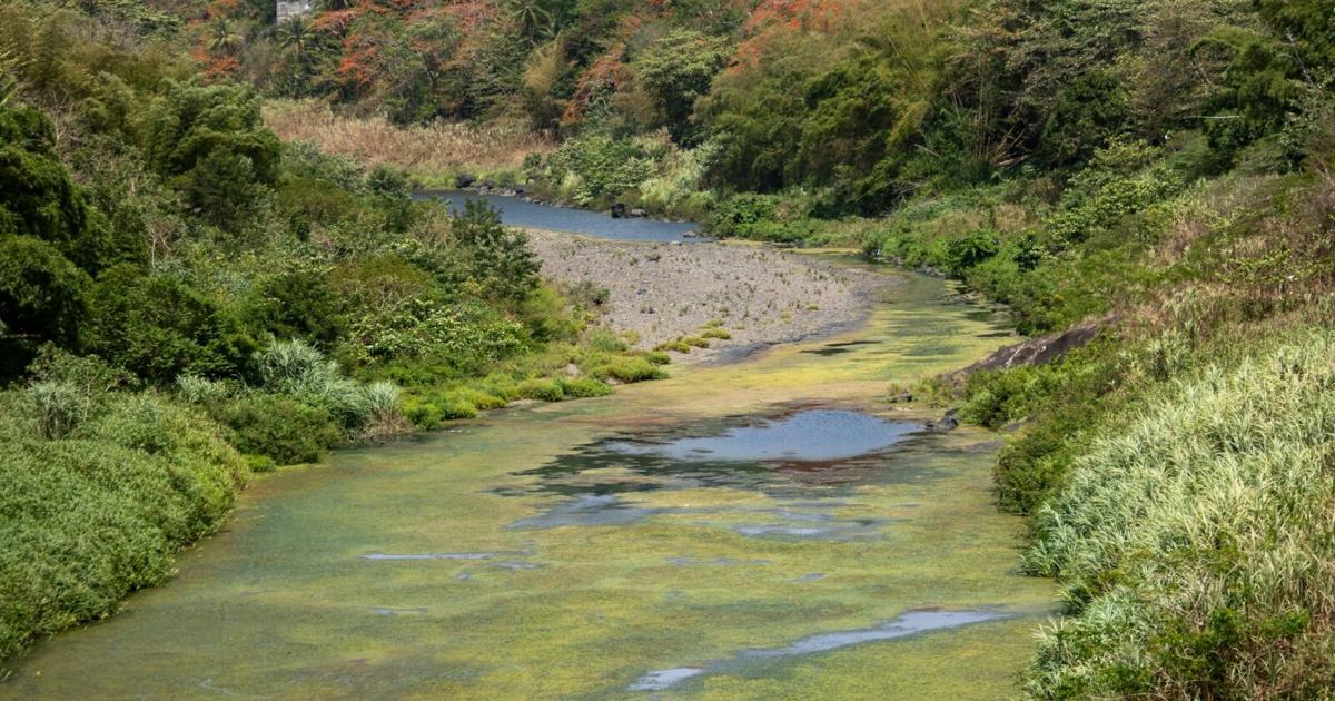 Sequía y reparaciones de la AAA causan racionamiento de agua para 180,000 abonados