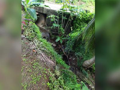 Mi comunidad reclama: Lluvias afectan quebrada en Yauco   