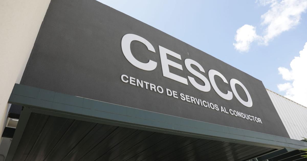 Renuncia jefa de DISCO