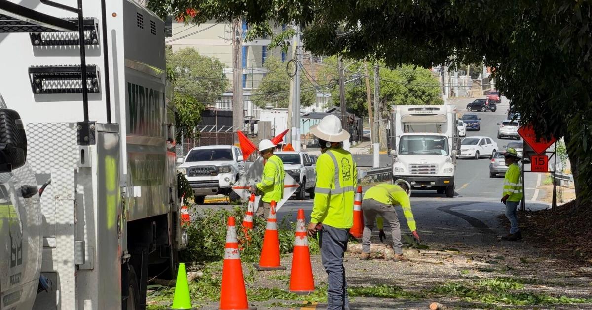 Presidenta de LUMA pide mayor coordinación para fortalecer la red eléctrica