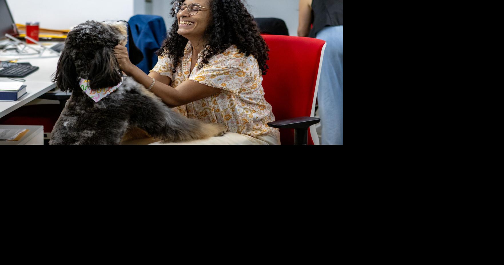 |  ¿Te parece necesaria esta medida? ¿Qué opinas?