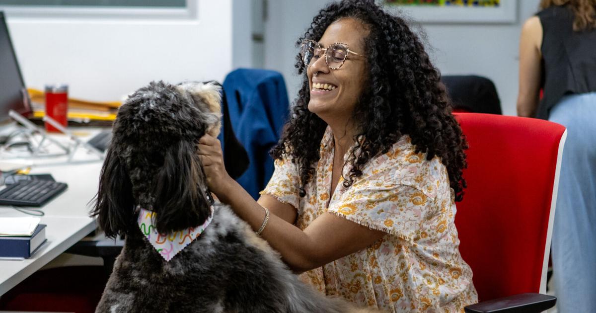 VIDEO: Bufete en Puerto Rico incorpora licencia por mascotas y cultura pet-friendly
