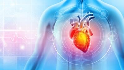 Aplican IA para combatir enfermedades cardiovasculares