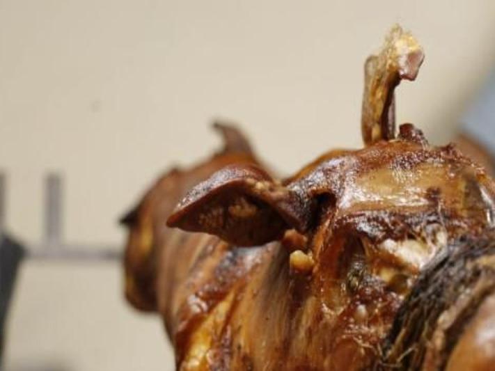 Garantizan Lechon De Puerto Rico De Cara A La Temporada Navidena Gobierno Elvocero Com