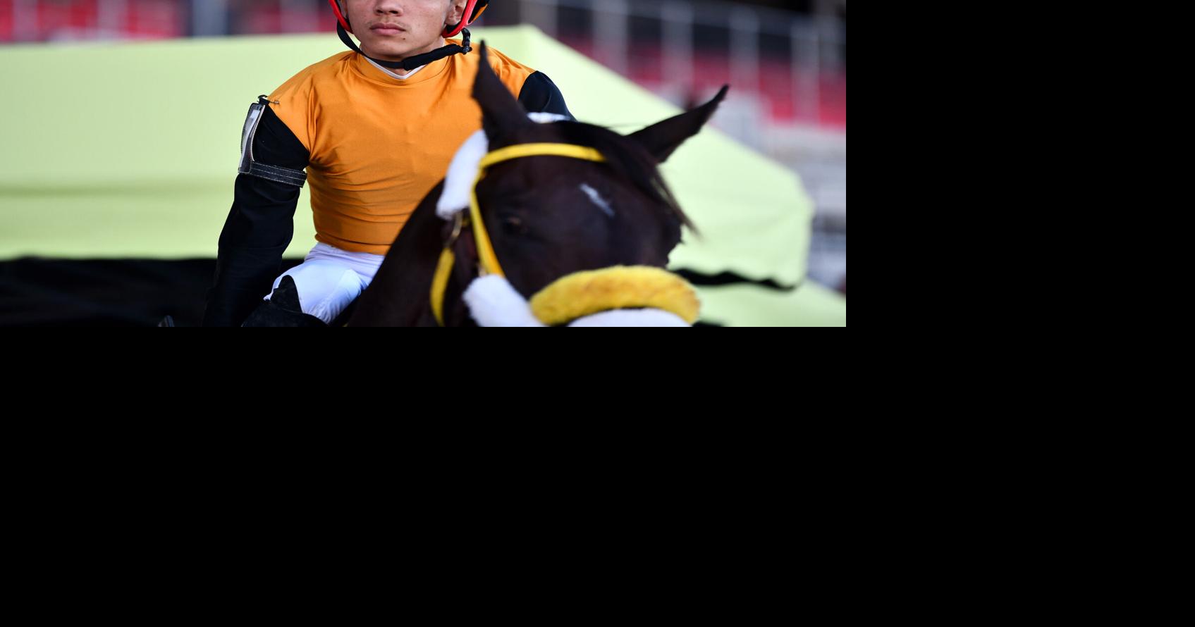 Mr. Mox busca destacar en prueba de importados en el Hipódromo Camarero
