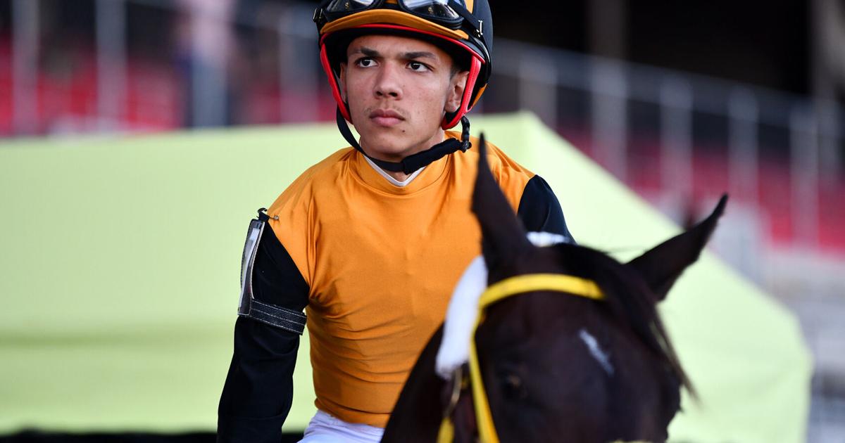 Mr. Mox busca destacar en prueba de importados en el Hipódromo Camarero
