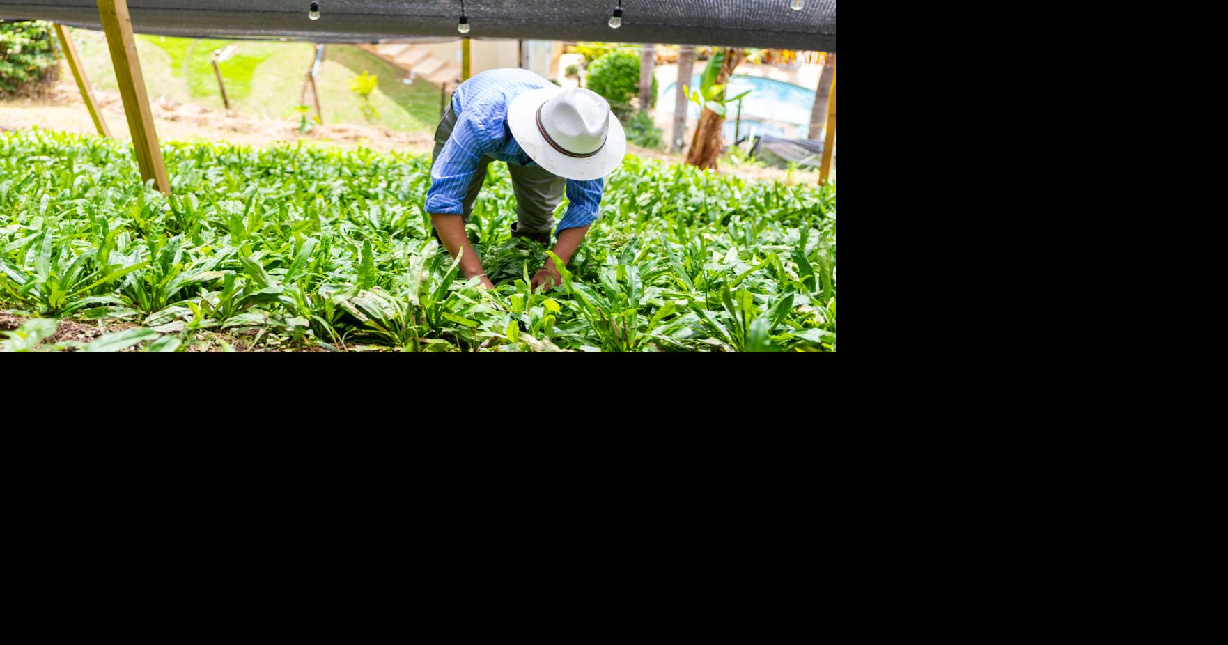 Los productores exponen trabas que frenan la producción agrícola y limitan su crecimiento