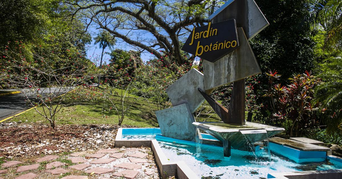 UPR anuncia plan integral para prevenir y atender incendios forestales en el Jardín Botánico