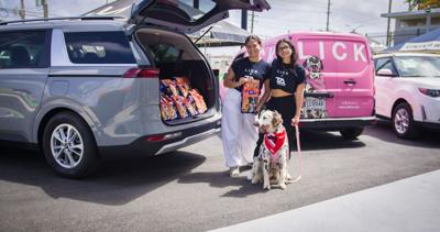 Celebran el National Dog Day donando alimentos para perros sin hogar