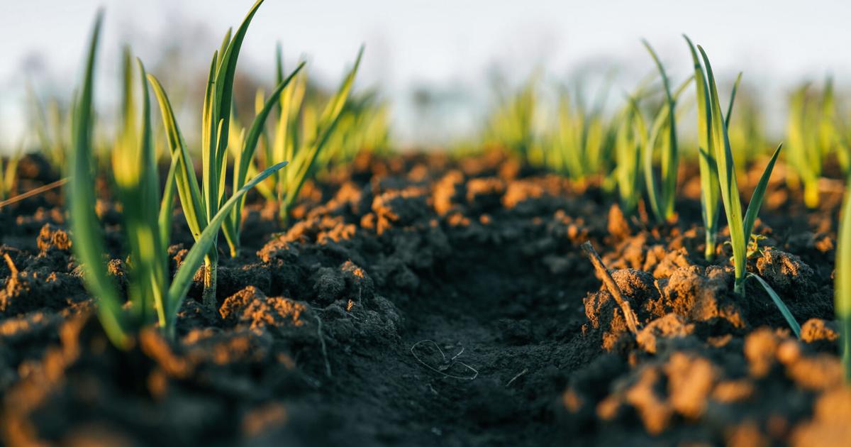 Formalizan acuerdo para expandir cooperativas agrícolas en la Isla