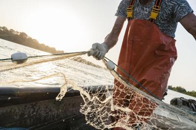 ​Nueva oportunidad para solicitar incentivos para pescadores