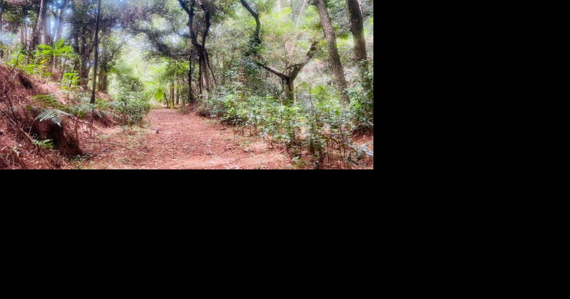 DRNA y Maricao evalúan acuerdo para rehabilitar veredas del Bosque Estatal