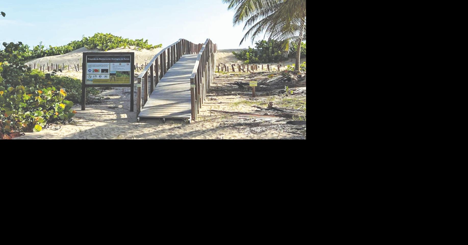 DRNA ordena sellar tubería que amenazaba la Reserva Natural Finca Nolla en Camuy