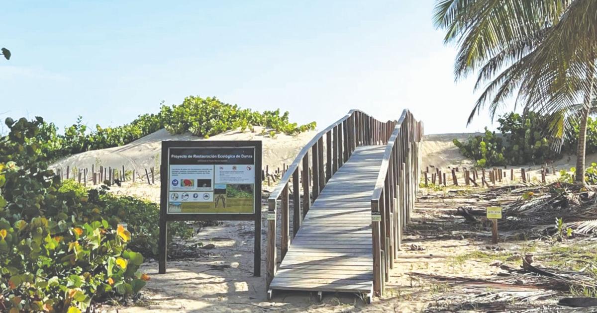 DRNA ordena sellar tubería que amenazaba la Reserva Natural Finca Nolla en Camuy