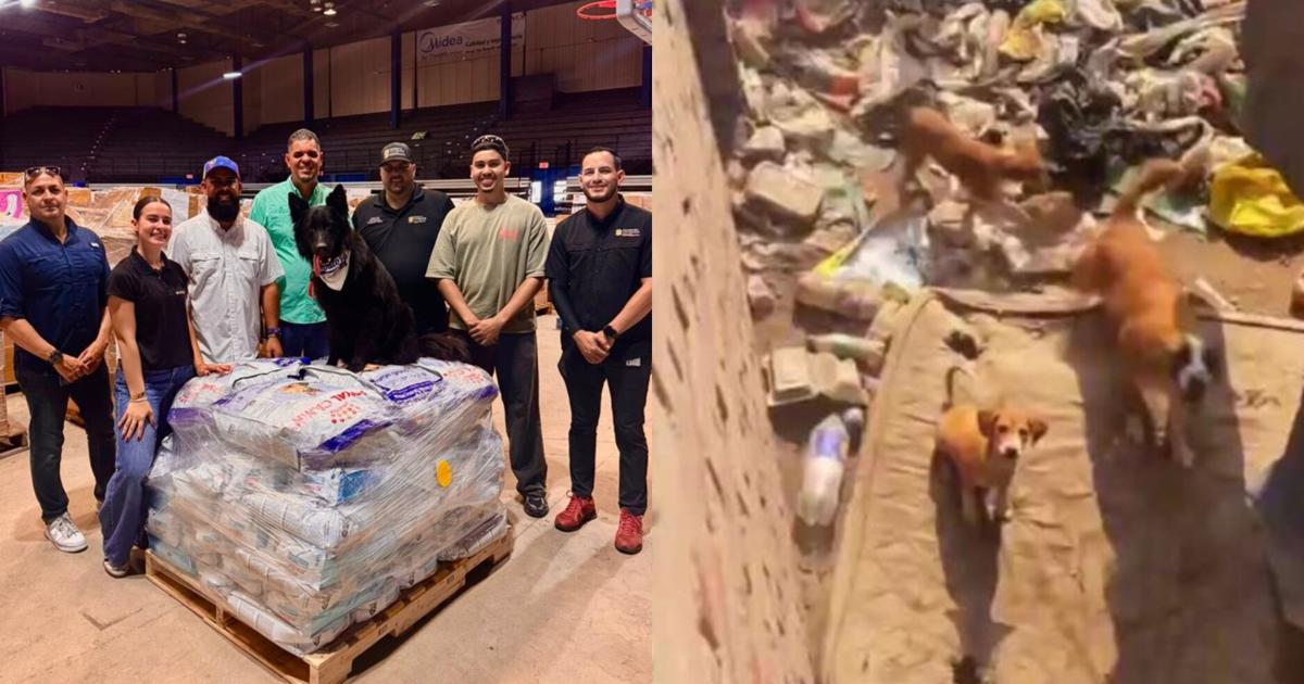 Puerto Rico envía más de 1,370 libras de alimento para animales afectados en Venezuela