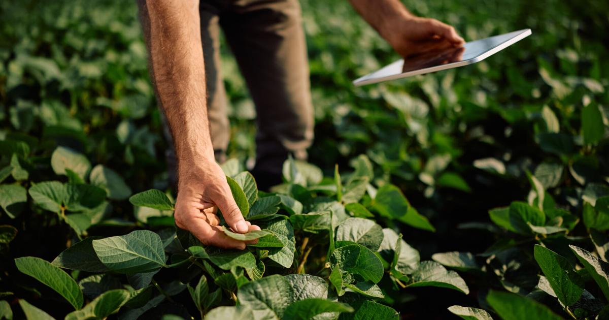 Impulsan la agricultura como motor económico sostenible en Puerto Rico